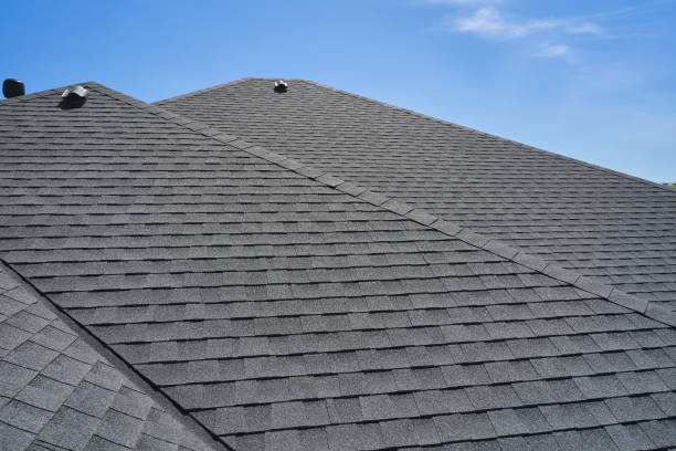 Professional Roofing Services in Varnville, SC